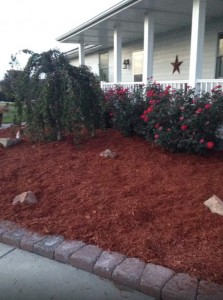 Landscaping colored mulch project